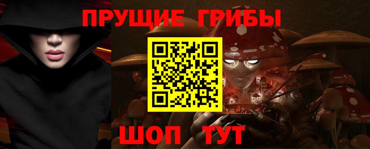 Волжский  Галлюциногенные грибы мицелий  Псилоцибиновые грибы прущие грибы  Вход с VPN 